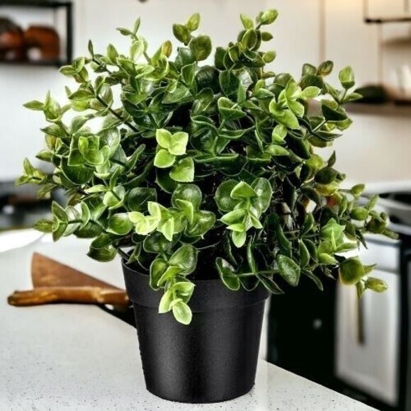 IKEA FEJKA Artificial Potted Plant Oregano 3 ½ " - Picture 7 of 7